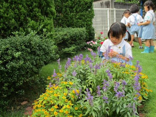 お花に夢中の子ども